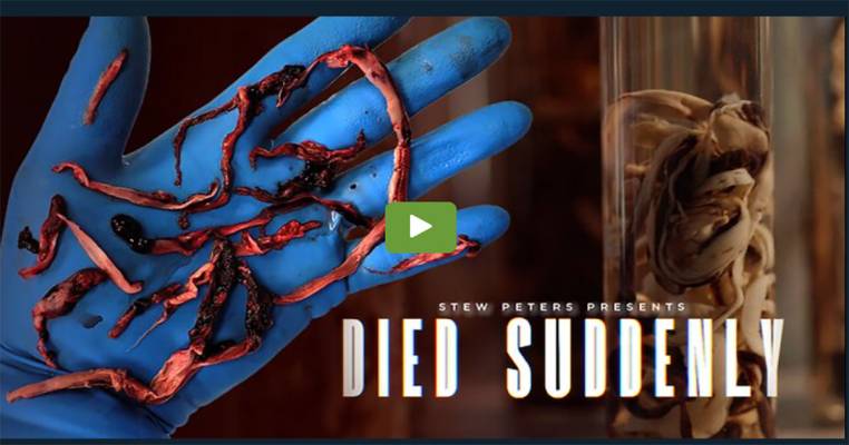 The Stew Peters Network is proud to present DIED SUDDENLY, from the award winning filmmakers, Matthew Skow and Nicholas Stumphauzer.